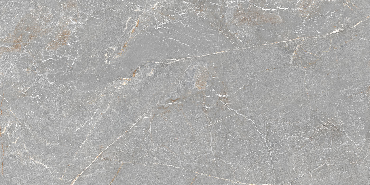 S0600X1200MRV03A1P12-1