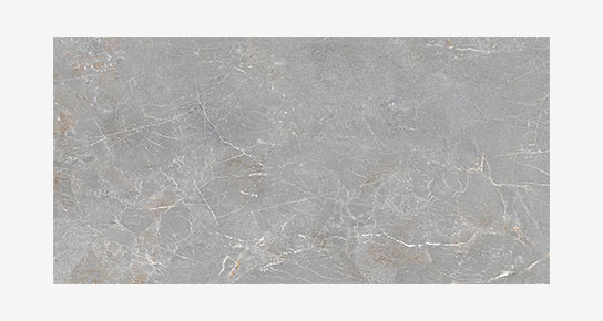 S0600X1200MRV03A1P12