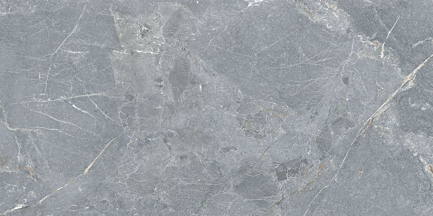 S0600X1200MRV02A1P12-2