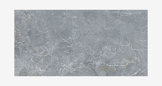 S0600X1200MRV02A1P12