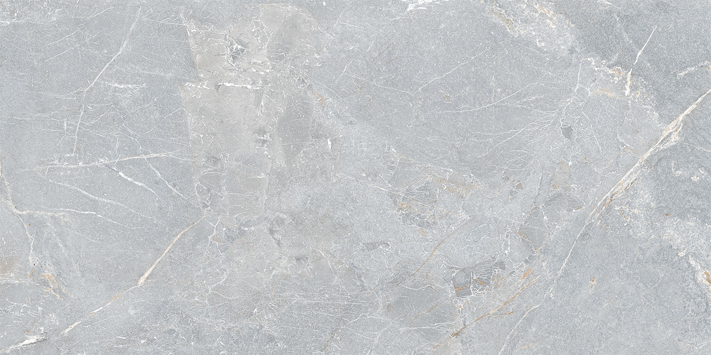 S0600X1200MRV01A1P12-2