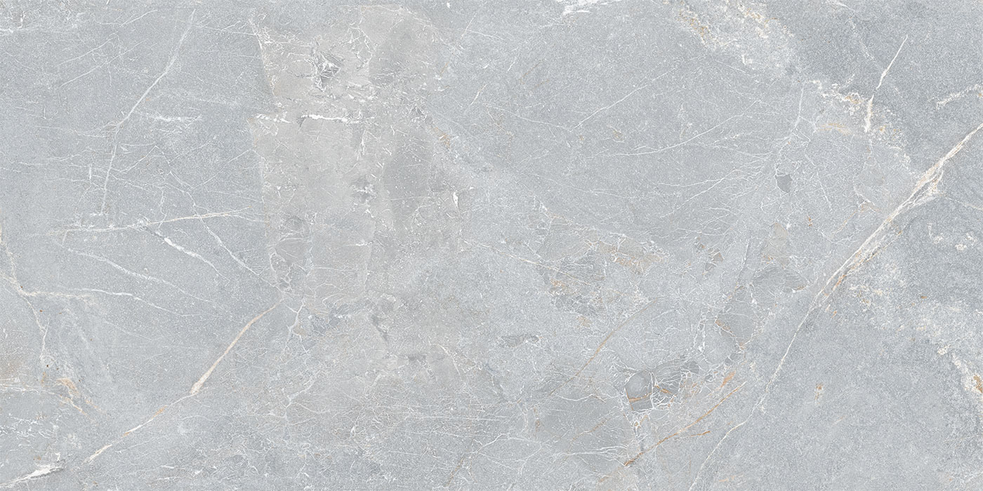 S0600X1200MRV01A1P12-3