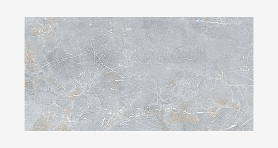 S0600X1200MRV01A1P12