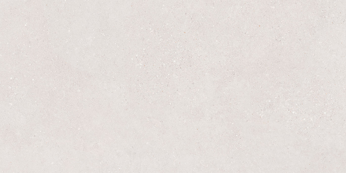 S0600X1200RLS01A1P12-0