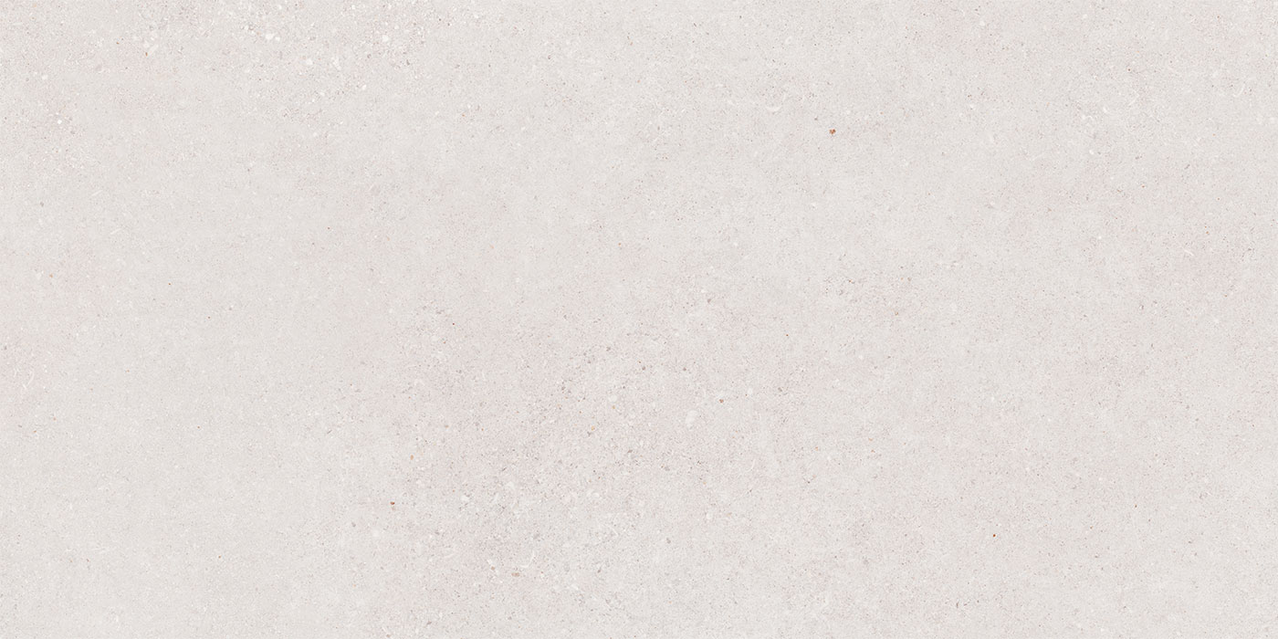 S0600X1200RLS01A1P12-2