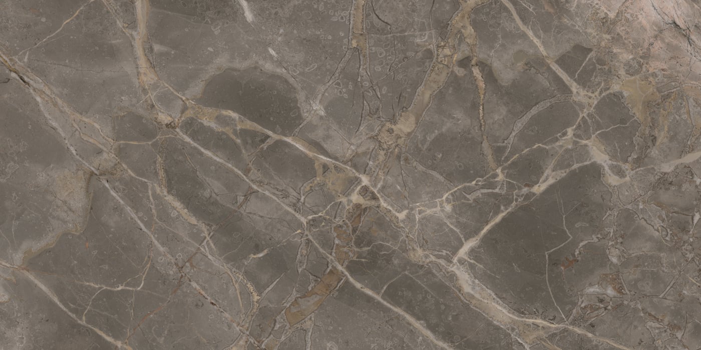 S0600X1200SVN01A8O11-1