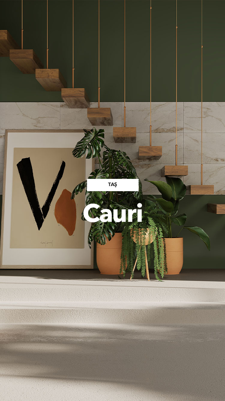 cauri